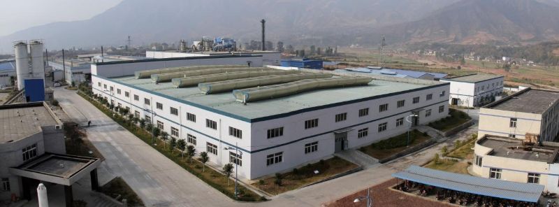 W020241121375674951144