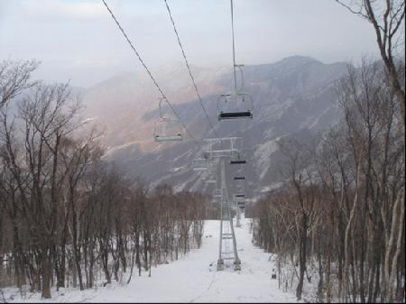 W020241121369706387840