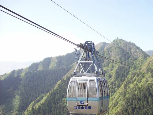 W020241119528345584421