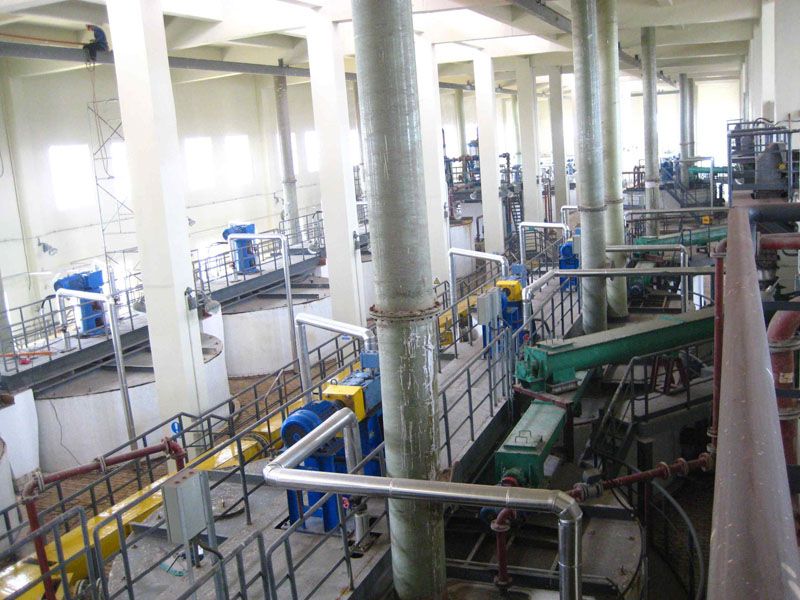 W020241119525557957730